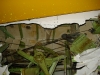 dsc09586