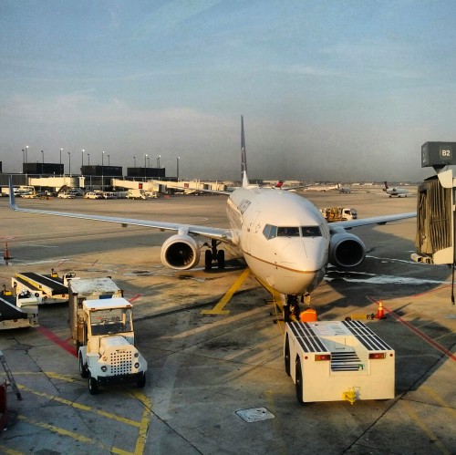 737-900 United com live TV 737-900 United com live TV