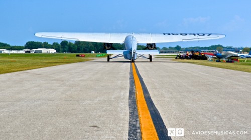 DSC_7034 (1)